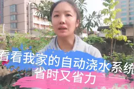楼顶建菜园种菜，装套灌溉自动浇水系统，彻解放双手，省时省力视频封面