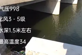 村口拦河坝，用万能饵，鱼种太多了