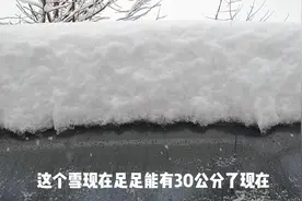 东北十几年不遇的大暴雪，足足30多公分厚，刘小带大家看看视频封面