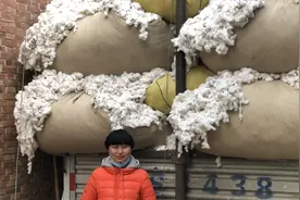 河北棉农种16亩棉花，市场价3.6元一斤，辛苦一年能卖多少钱视频封面