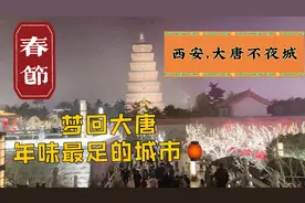 2021春节连更Vlog·Day5，夜游西安大唐不夜城，年味最足的城市！视频封面