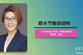 膝关节解剖结构视频封面