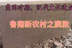 鲁南郯城杨集第一个消失的村视频封面