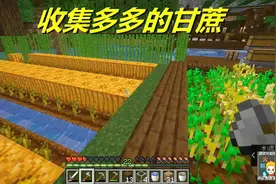 火焰解说 我的世界 1.14纯生存 6684 收集多多的甘蔗