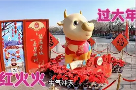 北京皇家园林公园，红灯笼福字牛气冲天的牛装扮一新，过年气氛浓视频封面