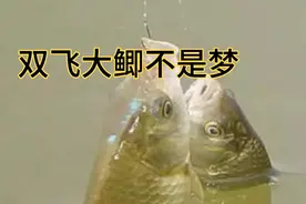 鲫鱼钓不好？是因为你抛竿都不对！