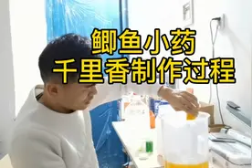 高浓度钓鲫鱼小药—千里香制作过程，带你揭开神秘面纱视频封面