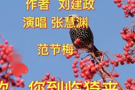 花的世界，果的海洋，您去过吗？
