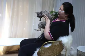被猫咪抓伤了在家怎么自己快速处理？教你两招轻松应对！视频封面
