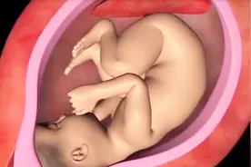 胎宝宝那么大，是如何从那么小的产道出来的？觉得好心疼女人视频封面