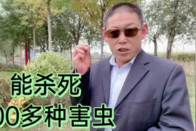 教农民朋友，能杀死700多种害虫的球孢白僵菌，如何使用效果好
