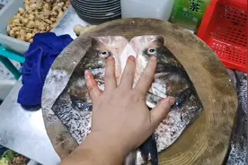 小伙在水库钓个特大的大头鱼，做个剁椒鱼头，吃的只剩下汤汁视频封面