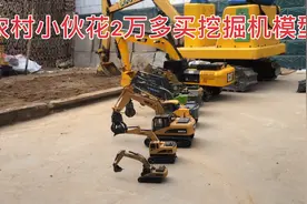 农村小伙花2万多买挖掘机模型玩具视频封面