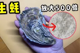 生蚝可以生吃吗？放大500倍发现寄生虫！视频封面