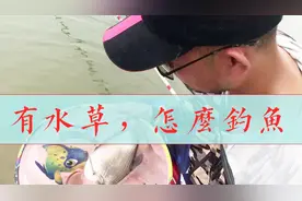 水底有水草，钓鱼时该钓底还是钓浮？