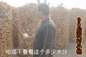 小杨家70万斤玉米棒为啥还不卖，1斤玉米棒出多少粒，小杨帮你算视频封面
