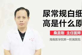 尿常规白细胞高是什么原因视频封面