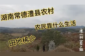 湖南常德；澧县农村就是好满山遍野都是宝，野菜野果摘不尽视频封面