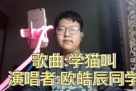 皓辰翻唱一首洗脑神曲《学猫叫》，好听的男版声就是恋爱的感觉！