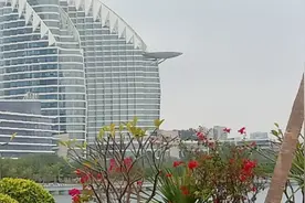 湛江雷州话视频封面
