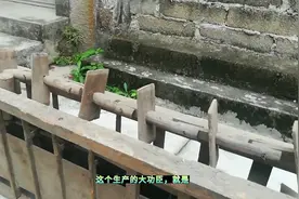 揭开时光的神秘面纱，窥见大跃进时的生产工具，潮汕农村手摇水车视频封面