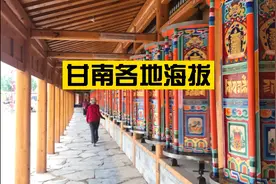 甘南各地海拔，收藏起来！小编手绘地图不易，点赞来一批🤓视频封面