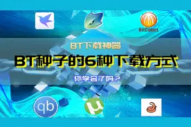 BT种子的6种下载方式，你用过吗？视频封面