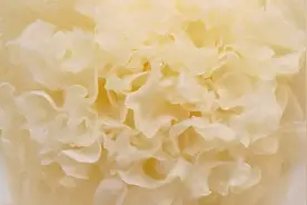 厨师长烹制的银耳炒肉片之所以清脆无比，原来泡发才是最关键视频封面