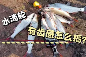 水滴轮齿感来自哪里，看我拆开一探究竟