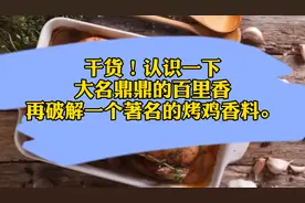 干货！认识一下大名鼎鼎的百里香，再破解一个著名的烤鸡香料。视频封面