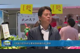 甘肃天水武山县长马学军宣传推介莴笋，接地气的很！视频封面