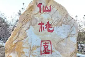 广州增城何仙姑庙桃花园的桃花开了视频封面