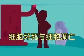 58.细胞坏死与细胞凋亡视频封面