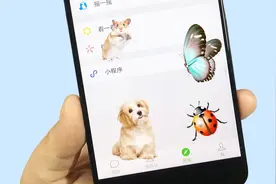 教你在微信里养宠物，仓鼠、蝴蝶、小狗都能养，太热闹了！视频封面