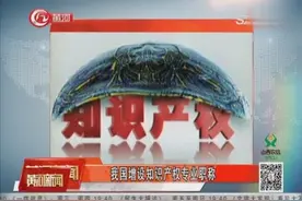 我国增设知识产权专业职称，激励和保护全社会创新视频封面