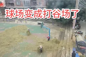 农村的篮球场变成打谷场了，打球与晒稻谷两不误，真会利用场地呢