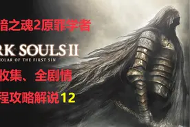 【黑暗之魂2原罪学者】新手向攻略解说12雾隐森林 蝎子纳吉卡视频封面
