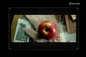 男人必看，女人让我告诉你爱你的100个理由，爱你HH视频封面