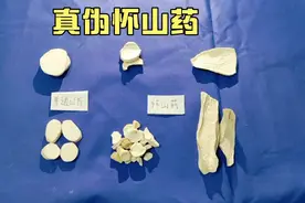 中药材：为什么（怀山药）不怎么好买因为种类繁多怕买不好？视频封面
