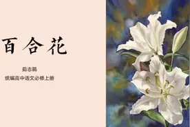 高一语文《百合花》（下）视频封面