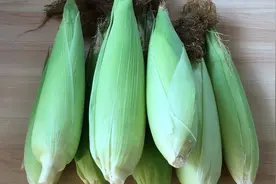 鲜玉米最好吃的新做法，不用水煮，软糯香甜，做一顿能吃7天不坏视频封面