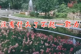 郭力《没有什么了不起》一曲催泪情歌，句句走心视频封面