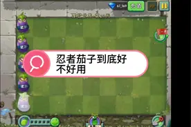 200块钱的忍者茄子好用吗