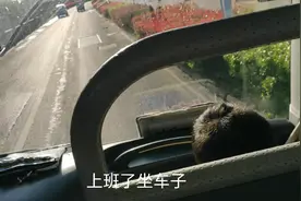 苏州东山精密上班了300一天视频封面