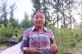 农村分户不是想分就能分的，利弊关系一定要考虑，4种情况分不成