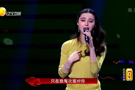 范冰冰现场演唱《飞鸟》视频封面
