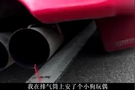 搞笑视频合集，我在排气筒上安了小狗玩偶视频封面