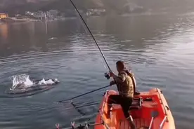 全网钓青第一人！五十斤青鱼三分钟上岸！高手在民间！视频封面