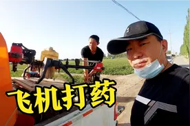 四川人在新疆种植棉花，用无人机打药，喷洒均匀效果好