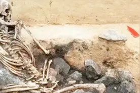 为啥山东人个子都较高，皮肤还白，原来6500年就已经不一样了视频封面